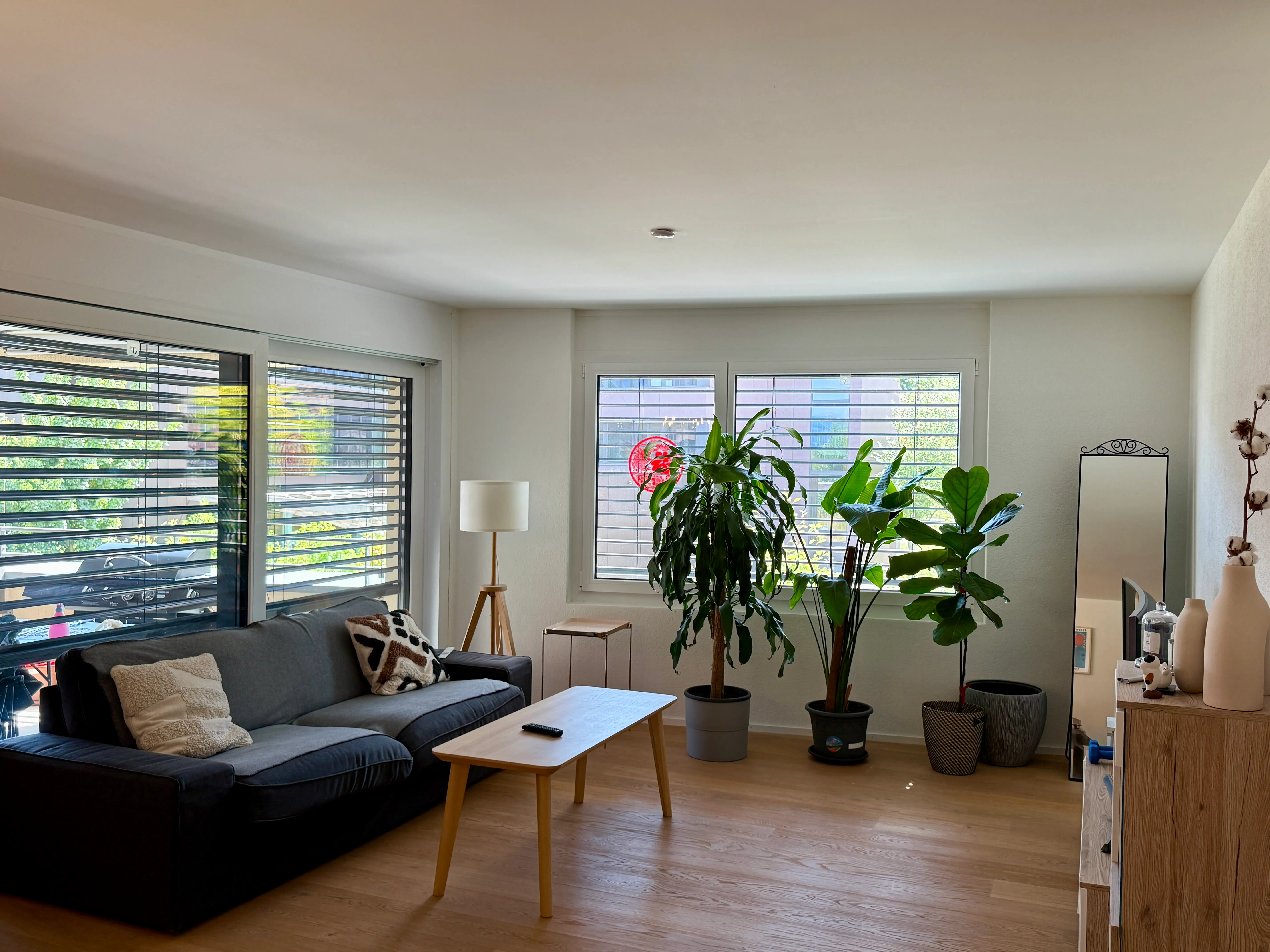 Spacious living room