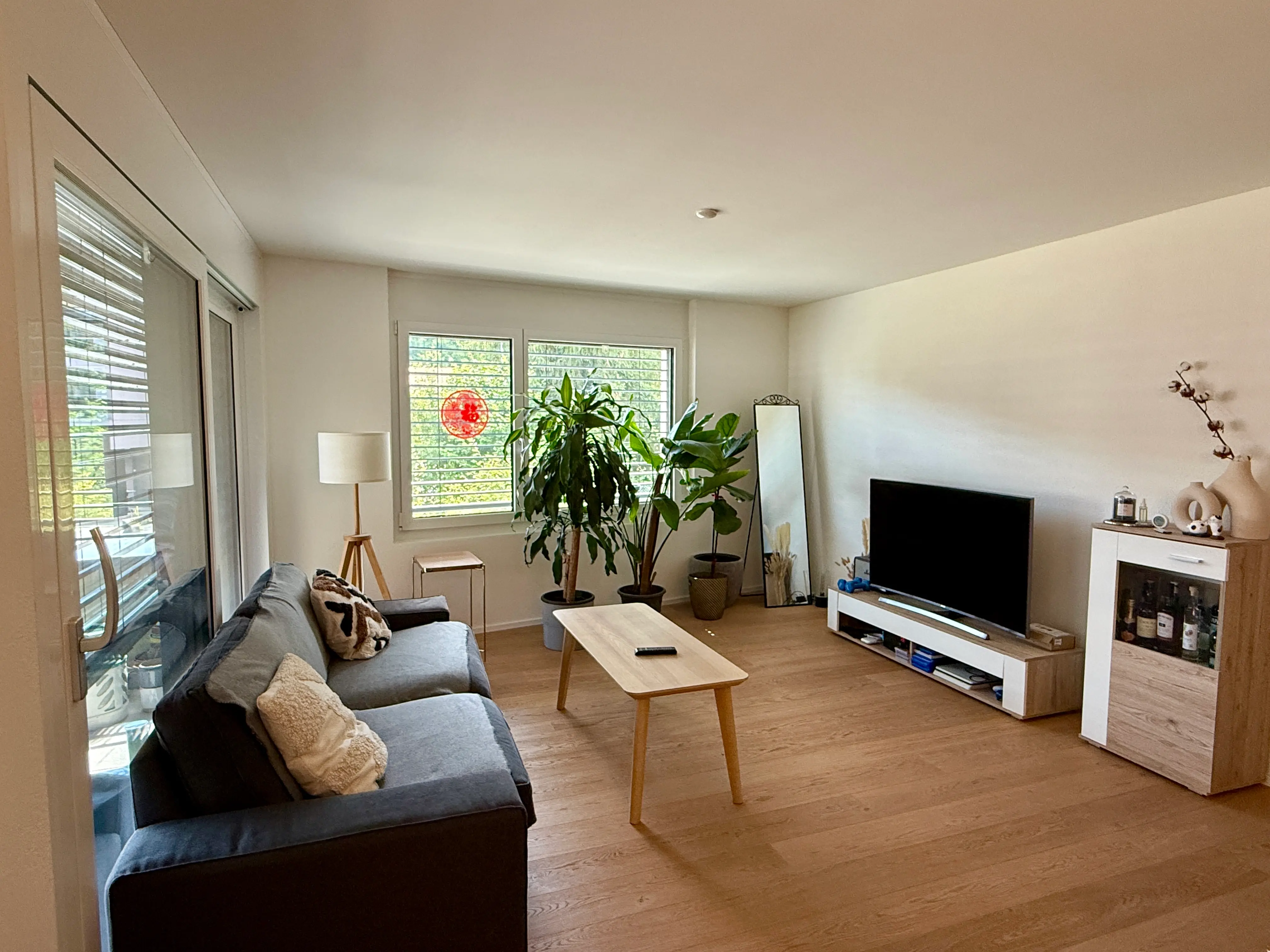 Another Living Room View